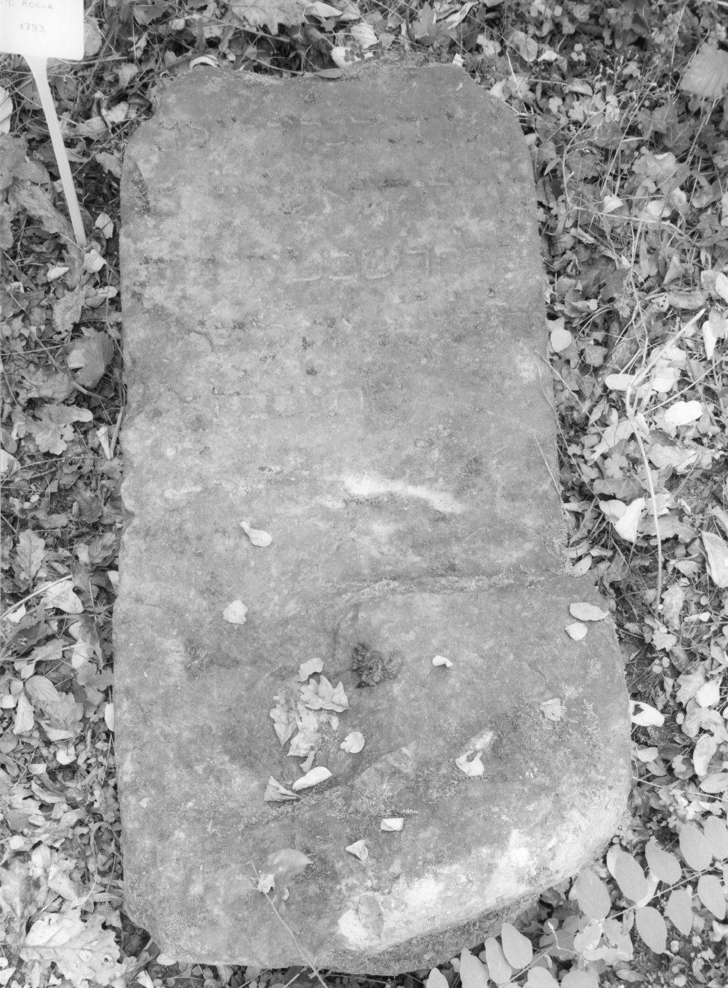 stele funeraria - bottega toscana (sec. XVIII)