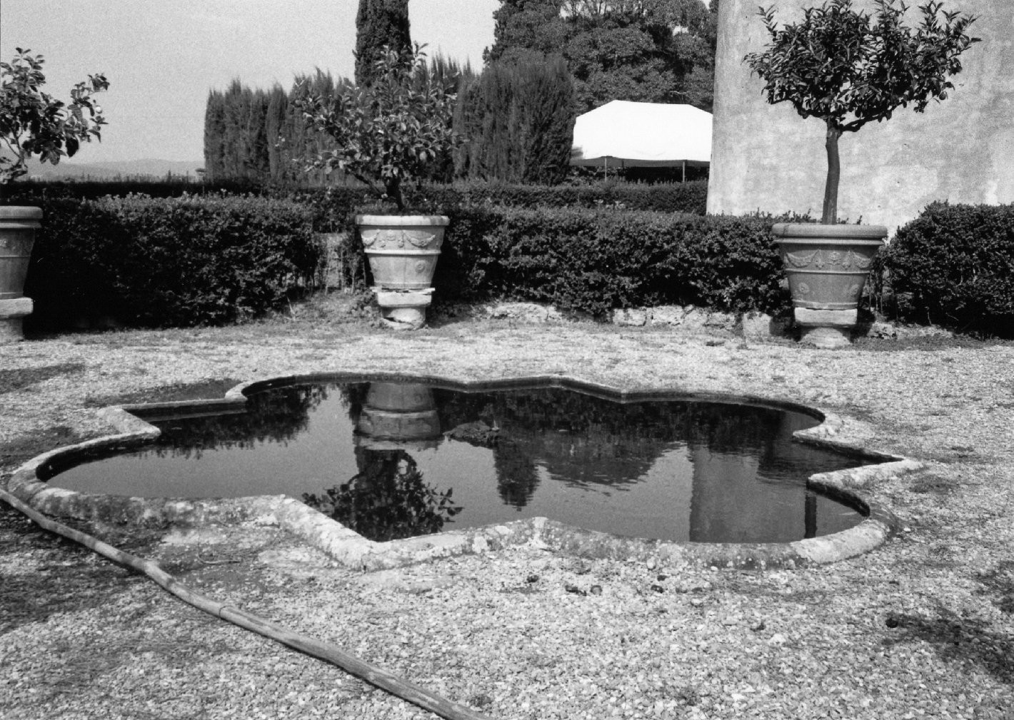 fontana, serie - bottega toscana (secc. XV/ XVI)