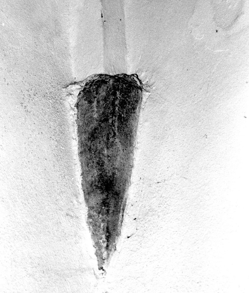 peduccio - angolare - bottega aretina (fine/inizio secc. XV/ XVI)