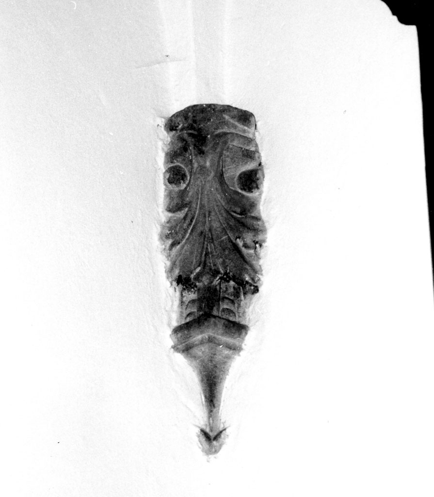 peduccio - angolare - bottega aretina (fine/inizio secc. XV/ XVI)