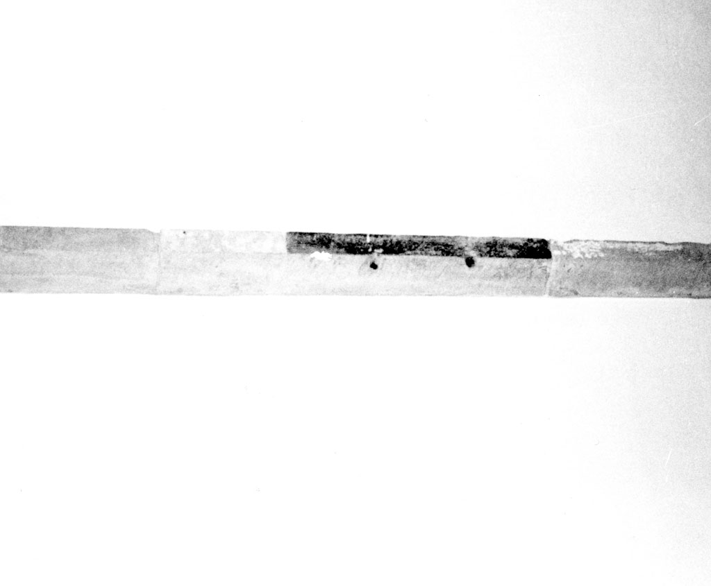 cornice - bottega toscana (sec. XV)