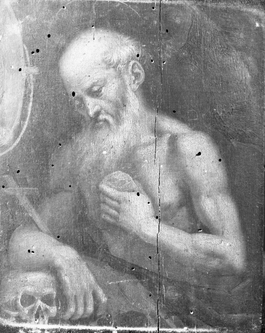 San Girolamo penitente (dipinto, opera isolata) - ambito lombardo (seconda metà sec. XVI)