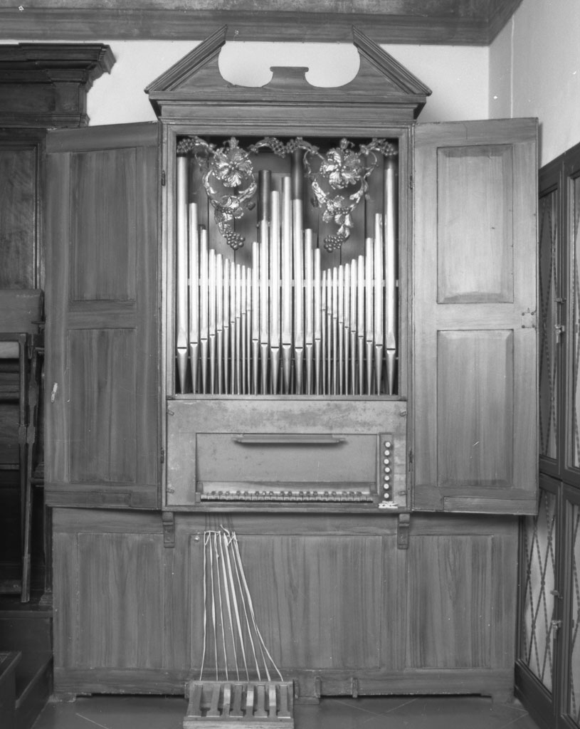 cassa d'organo, opera isolata di Paoli Serafino (sec. XIX)