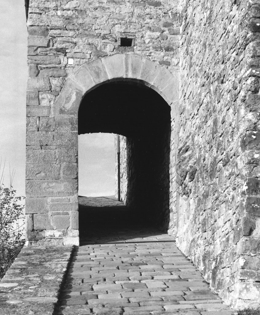 portale - ad arco, opera isolata - bottega toscana (sec. XI)