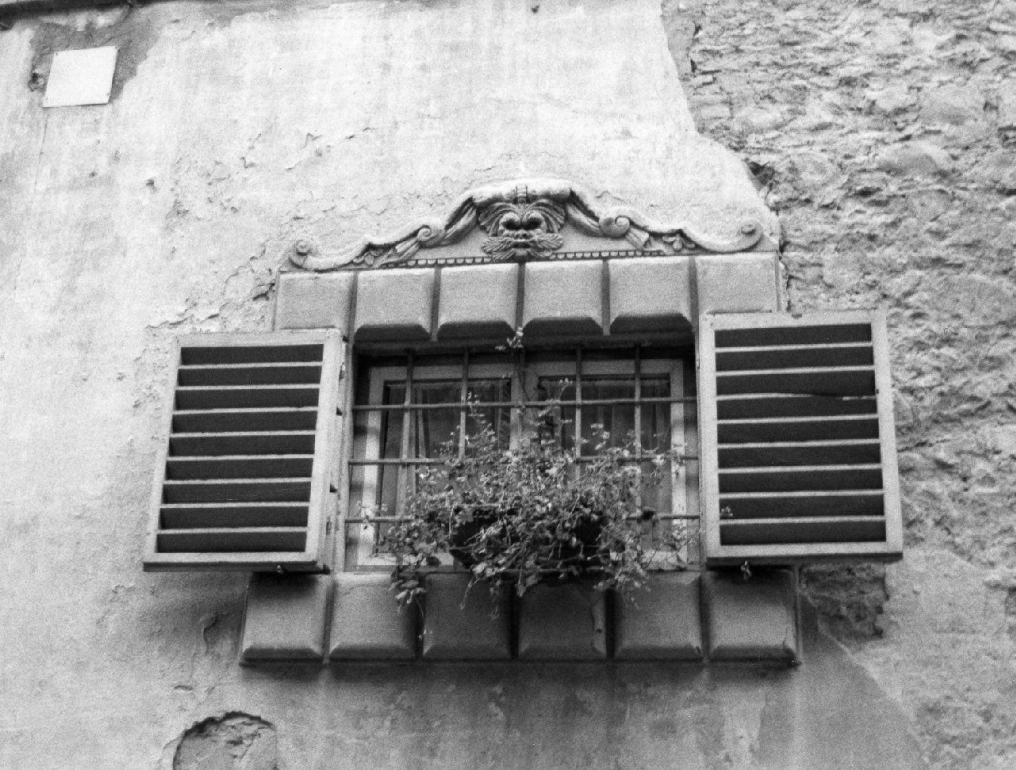 mostra di finestra - bottega aretina (fine/inizio secc. XVII/ XVIII)