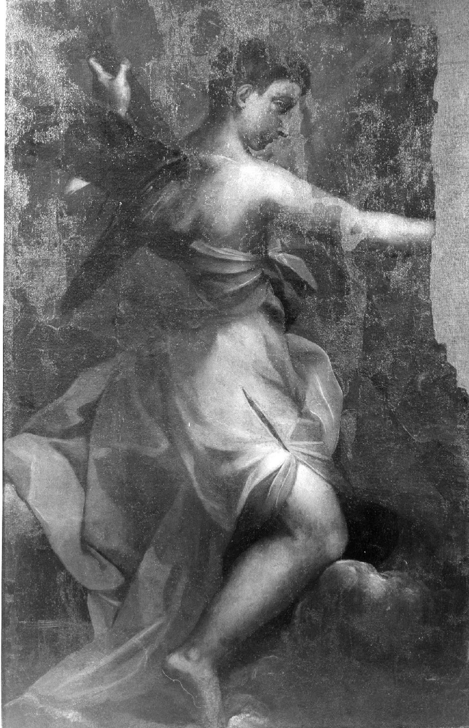 angelo musicante (dipinto, serie) - ambito senese (prima metà sec. XVII)