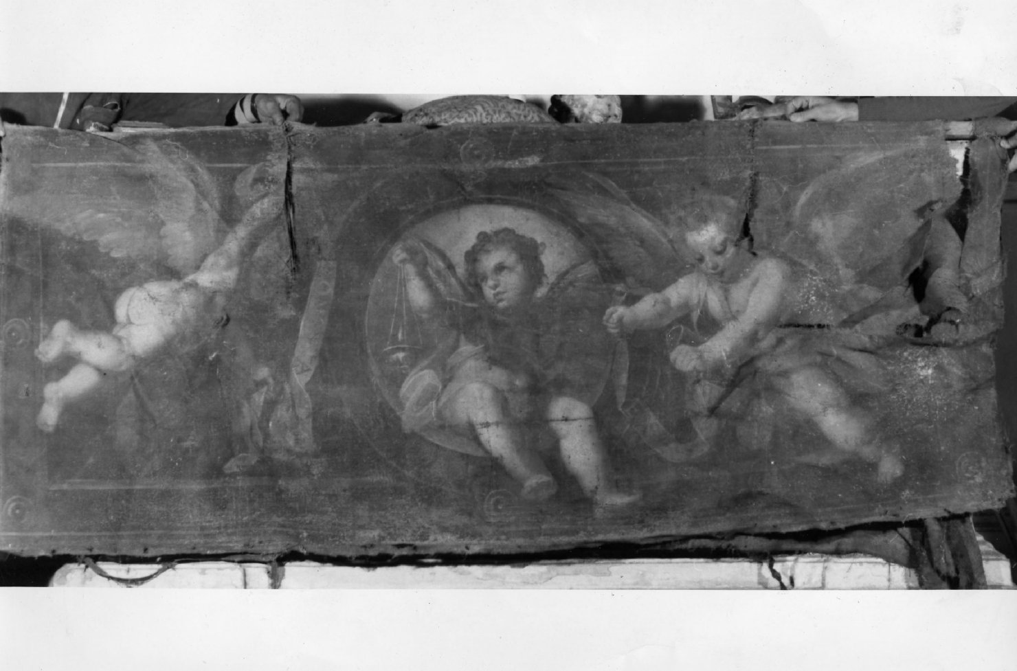 gloria di angeli (dipinto, serie) - ambito senese (prima metà sec. XVII)