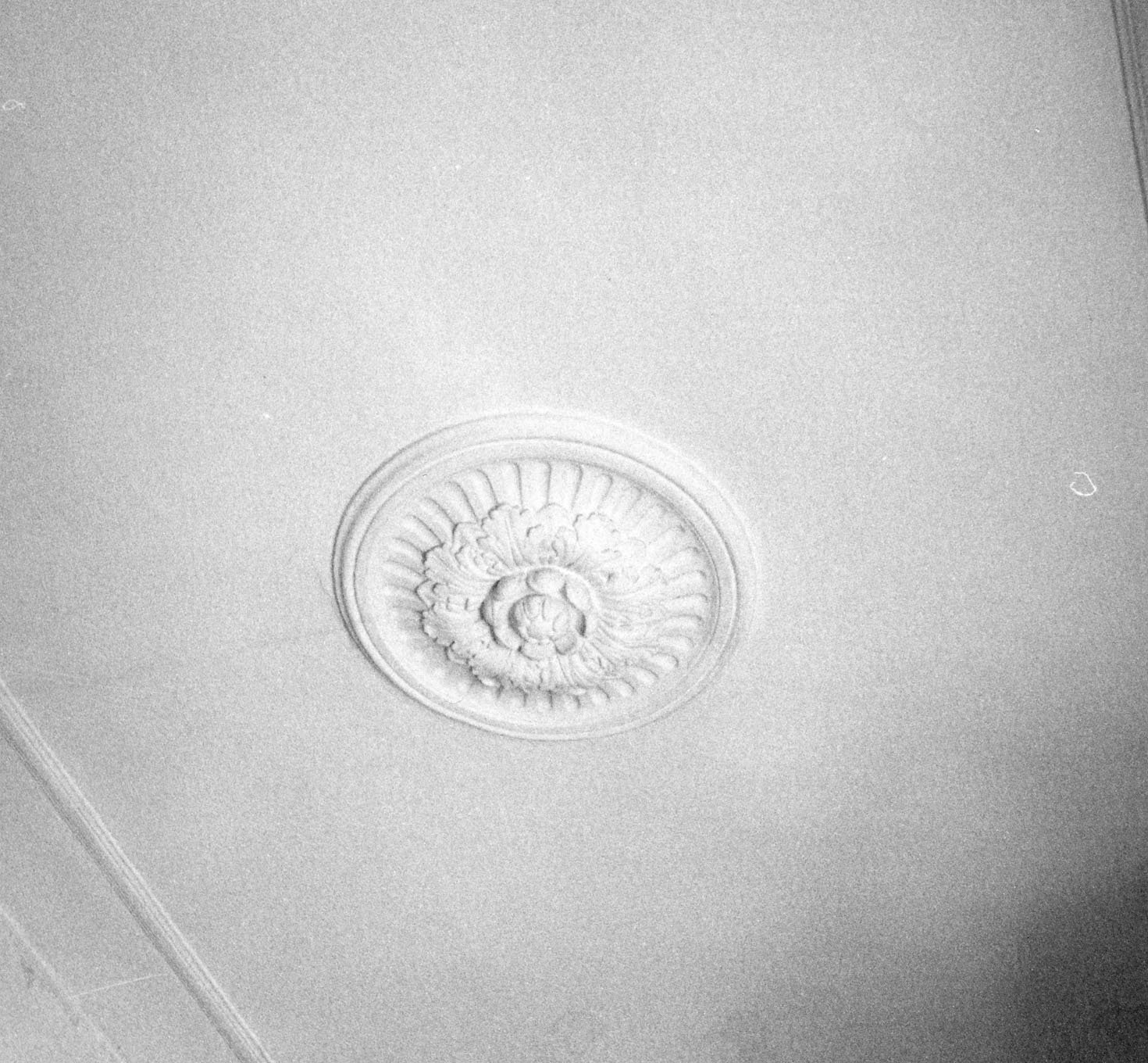 decorazione plastica, complesso decorativo - bottega aretina (fine/inizio secc. XIX/ XX)