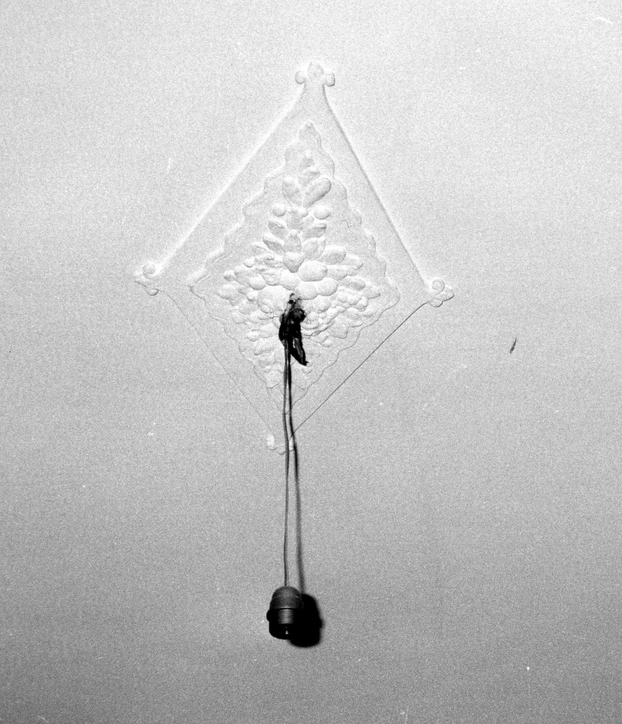 decorazione plastica, complesso decorativo - bottega aretina (fine/inizio secc. XIX/ XX)