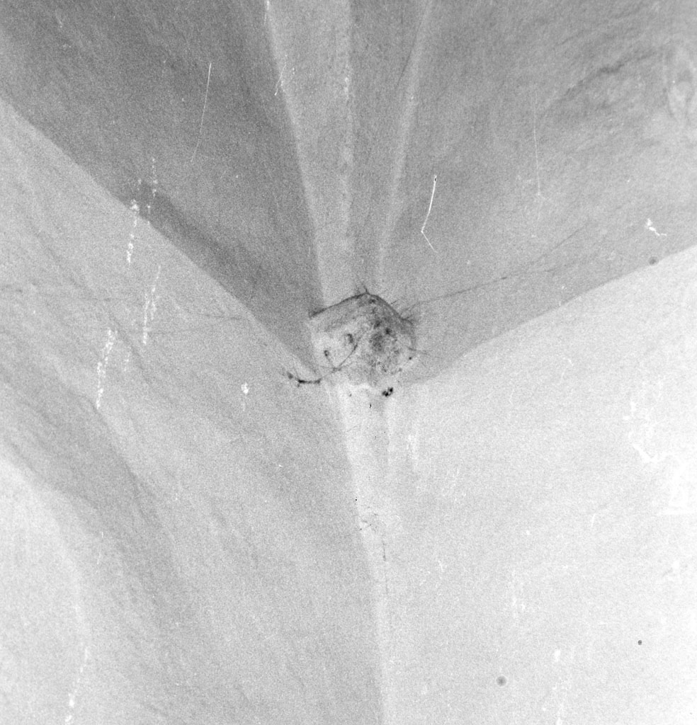 peduccio - angolare - bottega toscana (sec. XVII)