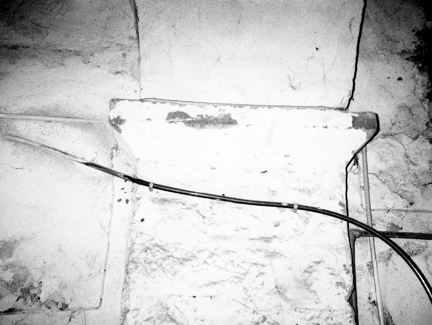 peduccio, serie - bottega aretina (fine/inizio secc. XV/ XVI)