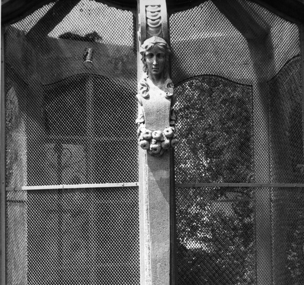 protome, serie di Brandaglia Leopoldo (prima metà sec. XX)