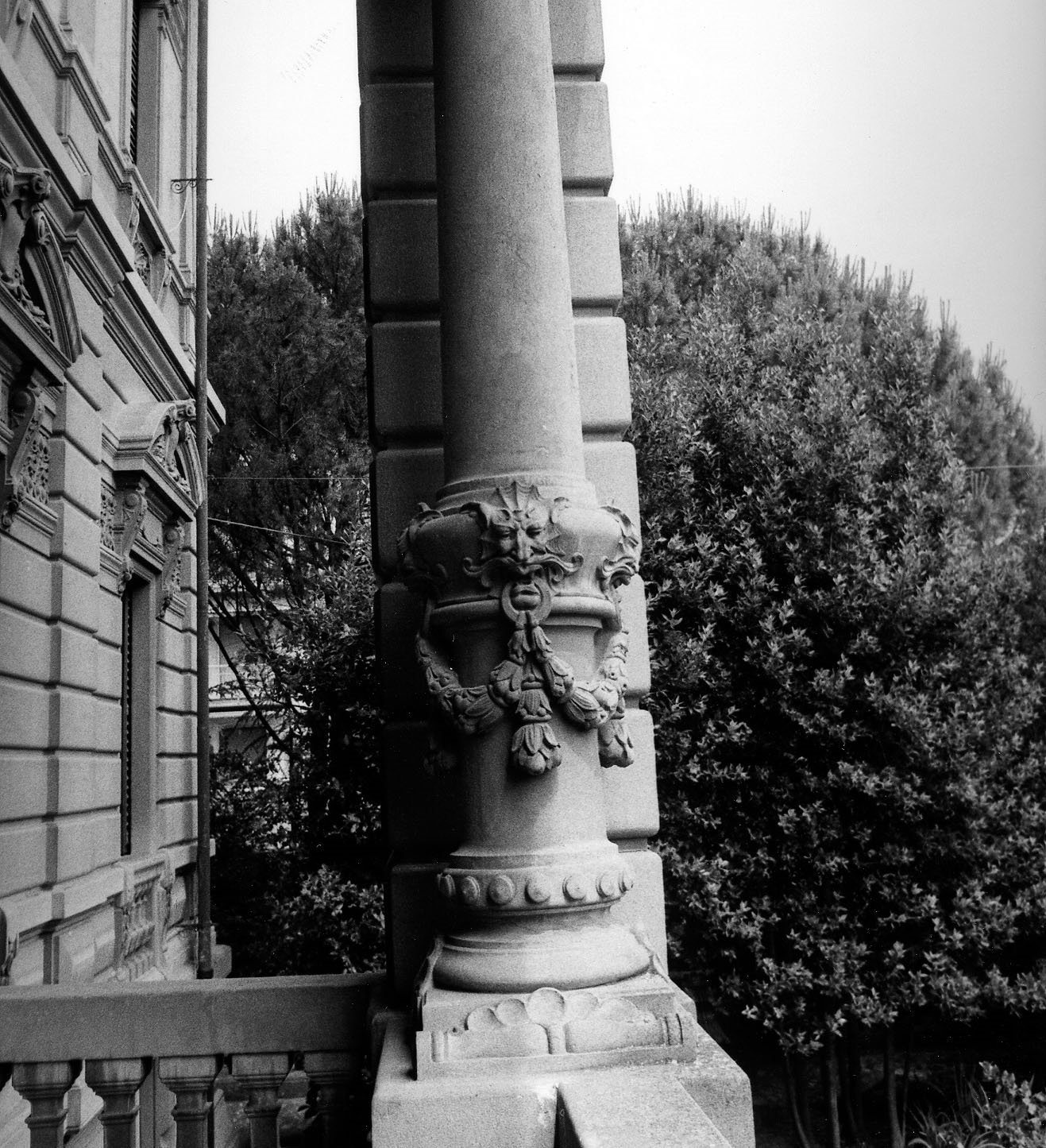 leone (colonna, serie) di Petrini Giuseppe (prima metà sec. XX)