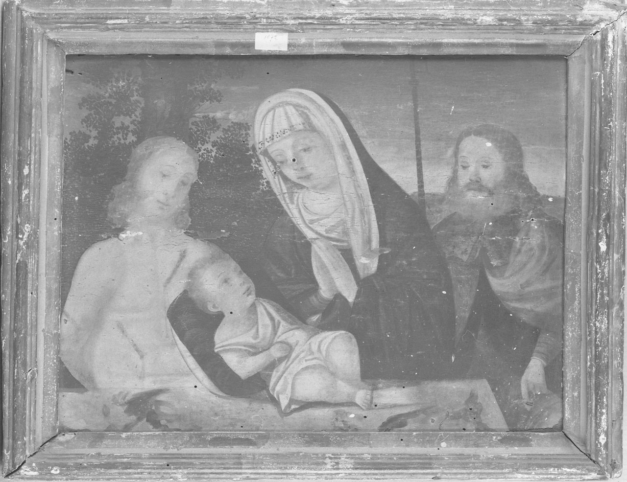 Madonna del Latte (dipinto) - ambito Italia settentrionale (fine/inizio secc. XVI/ XVII)