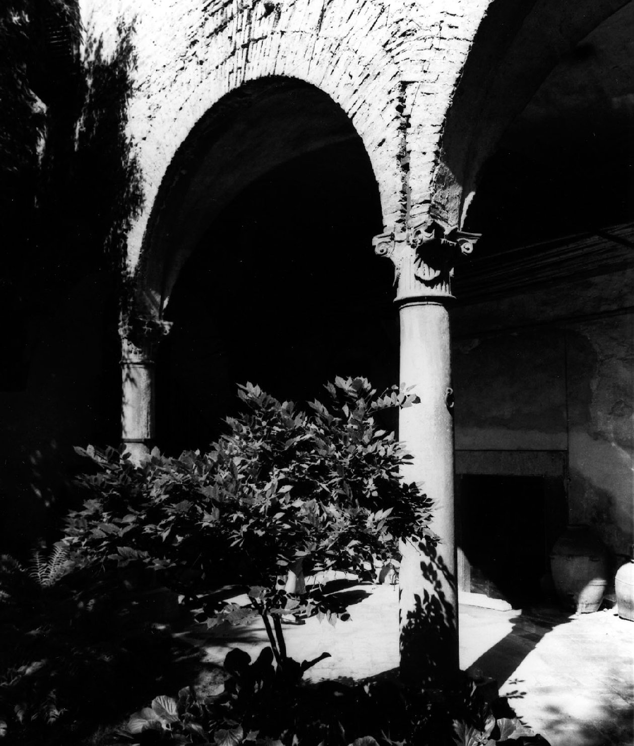 colonna, serie - bottega toscana (sec. XVI)