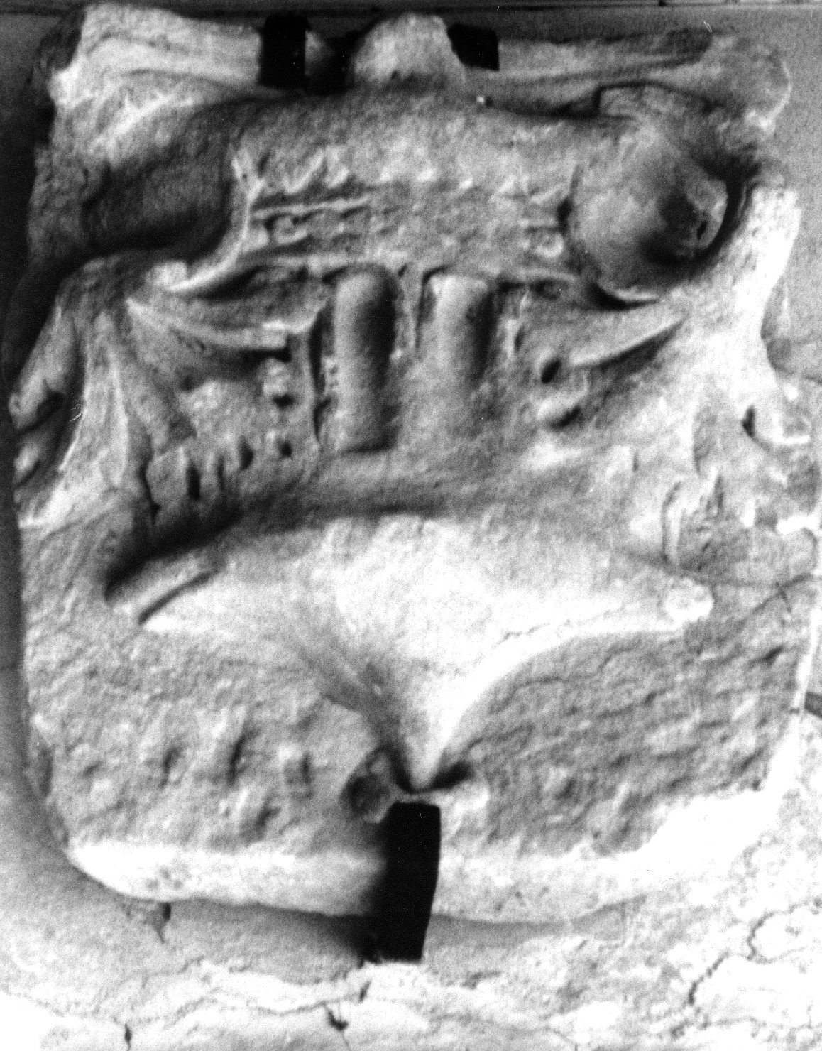 peduccio, serie - bottega fiorentina (sec. XV)