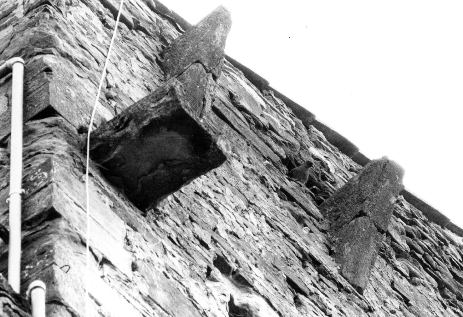 mensa d'altare, serie - bottega aretina (sec. XVI)