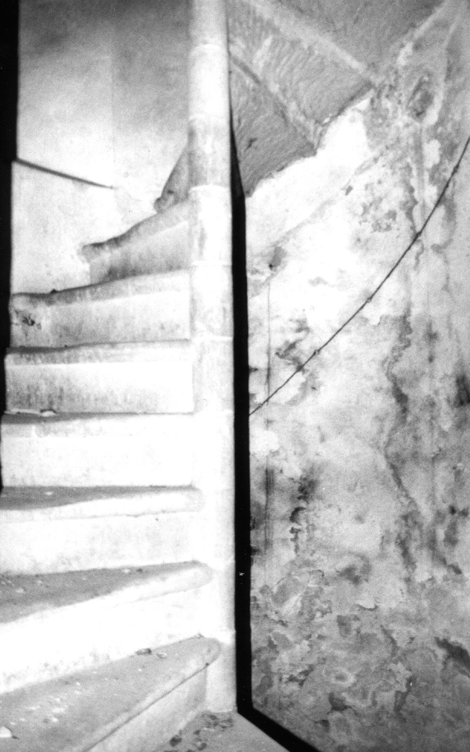 scala - a chiocciola, opera isolata - bottega aretina (sec. XVI)