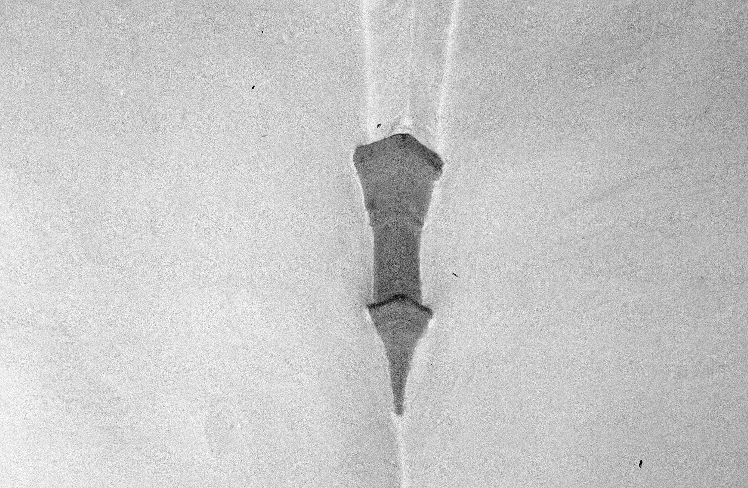 peduccio - angolare - bottega aretina (fine/inizio secc. XV/ XVI)