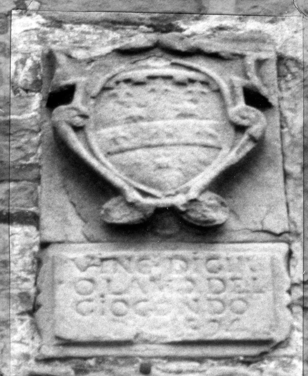 stemma (rilievo, opera isolata) - bottega toscana (sec. XIV)
