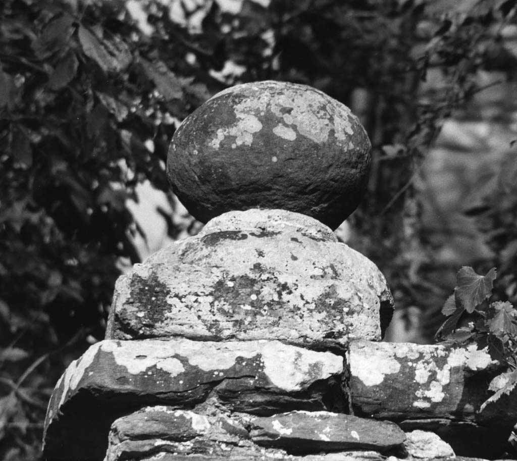 decorazione, opera isolata - bottega toscana (fine/inizio secc. XV/ XVI)