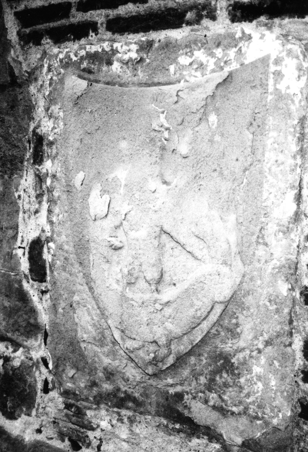 stemma (rilievo) - bottega toscana (sec. XVI)