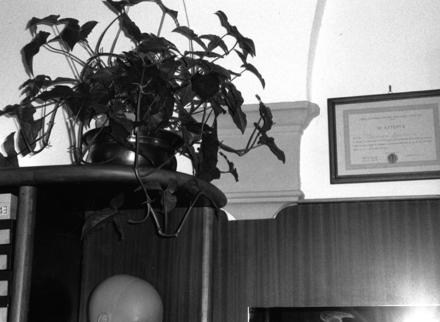 peduccio, serie - bottega toscana (sec. XV, sec. XX)