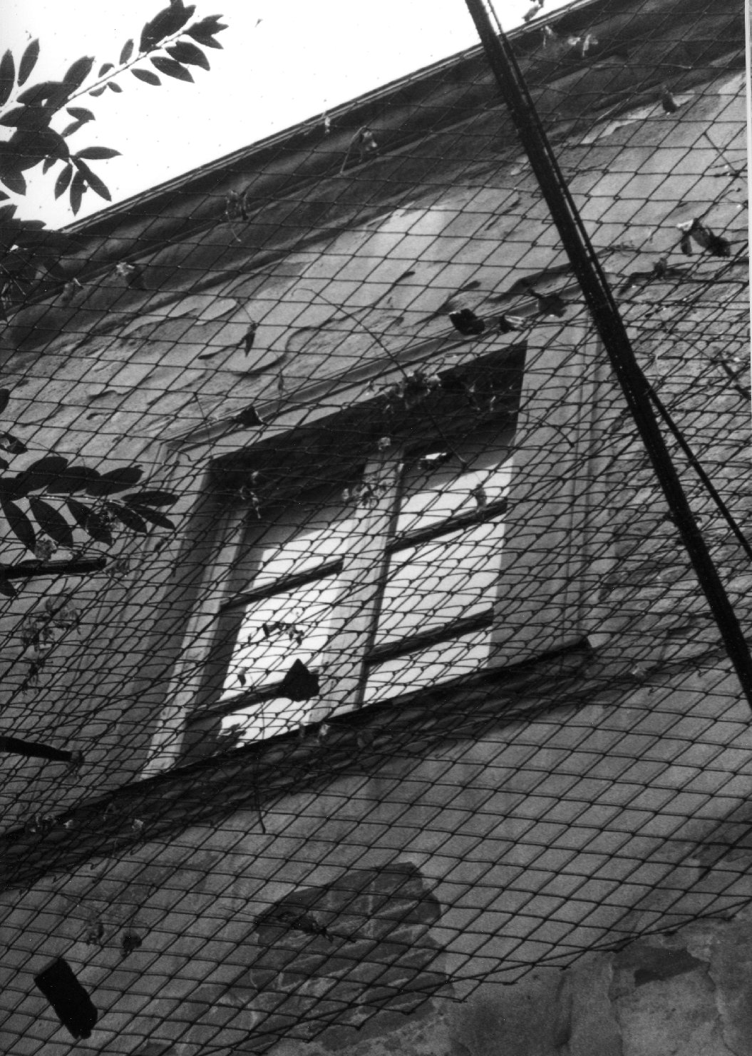 finestra, serie - bottega italiana (sec. XX)