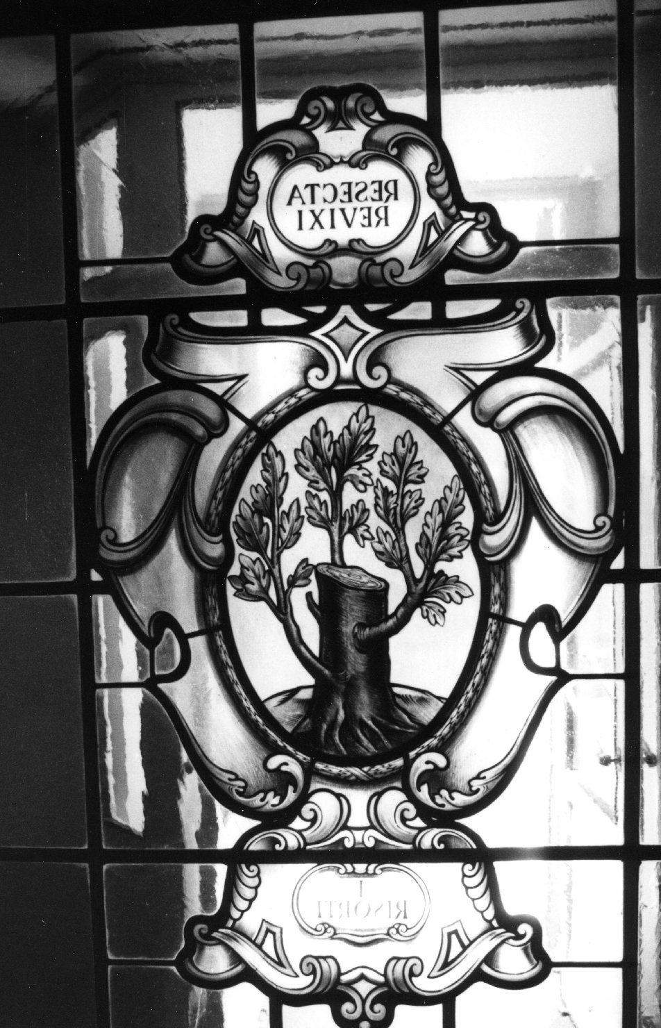 emblema dell'Accademia dei Risorti (vetrata) - ambito toscano (metà sec. XIX)