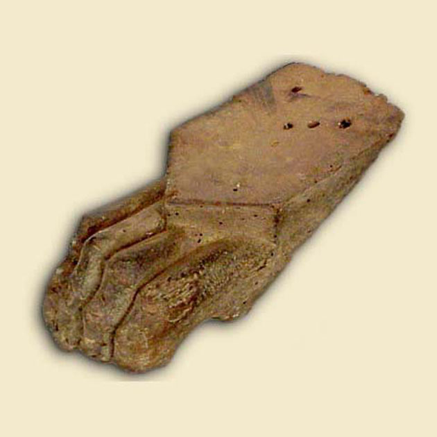 gamba - a zampa d'animale, elemento d'insieme - bottega italiana (secc. XVI/ XVII)