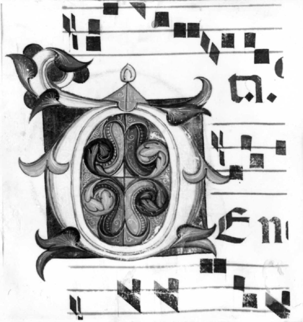 Codice D n.5 (antifonario) di Franchi Rossello di Jacopo (sec. XV)