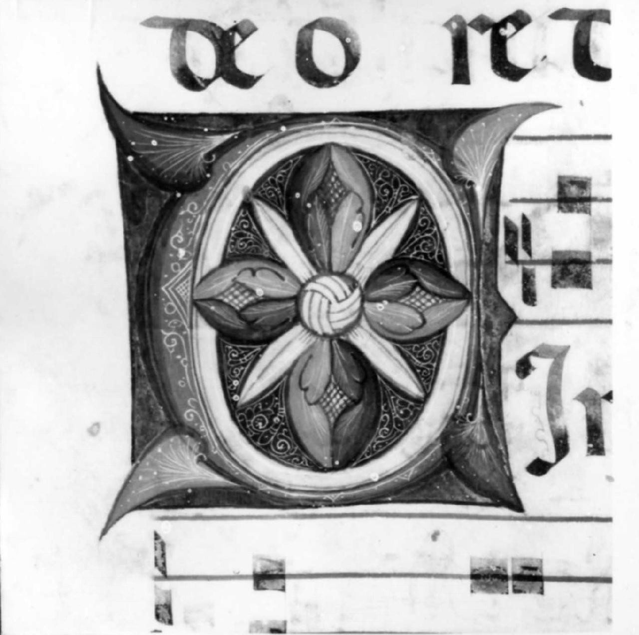 lettera C (miniatura) - ambito fiorentino-pratese (sec. XV)