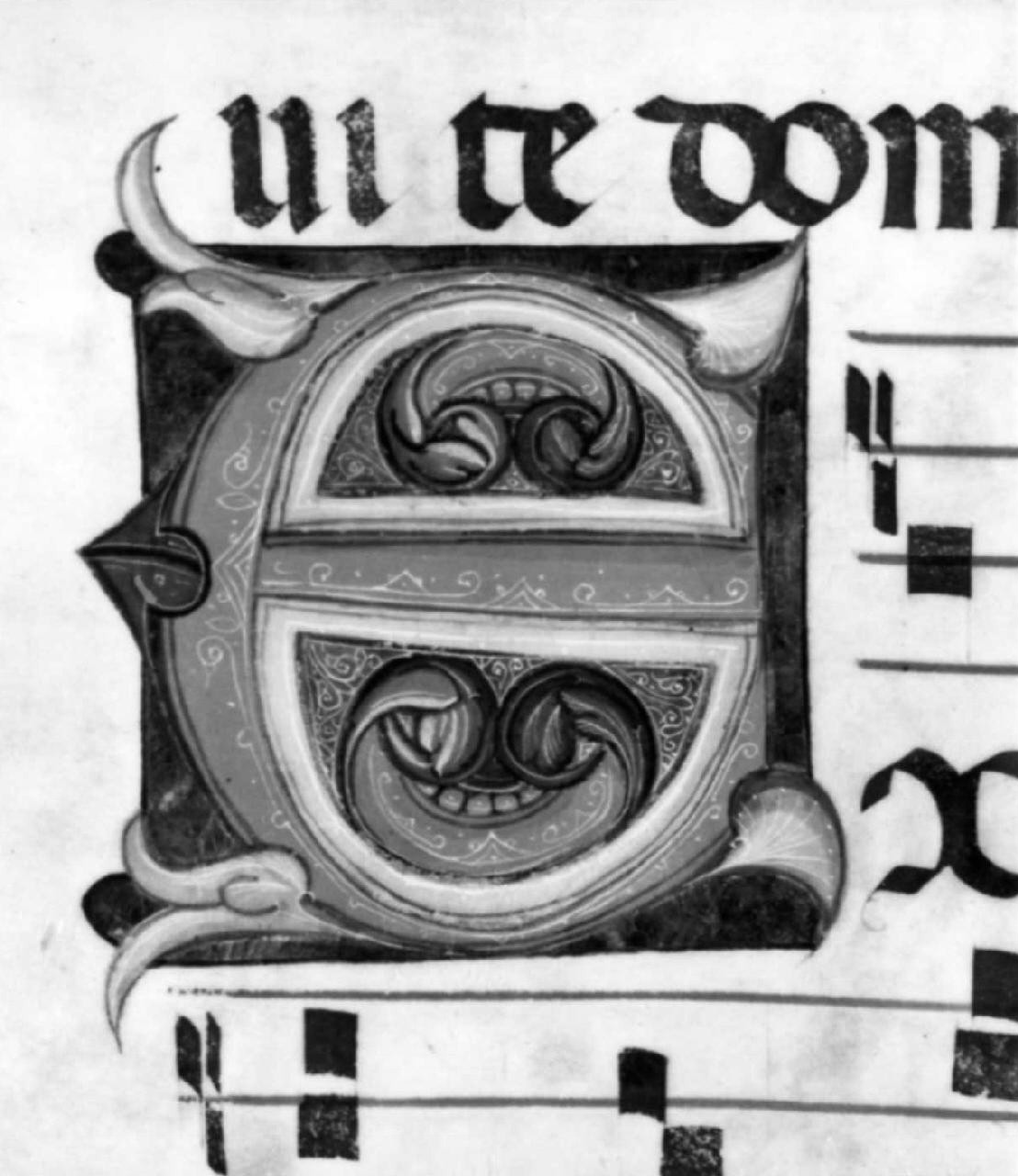 lettera E (miniatura) - ambito fiorentino-pratese (sec. XV)