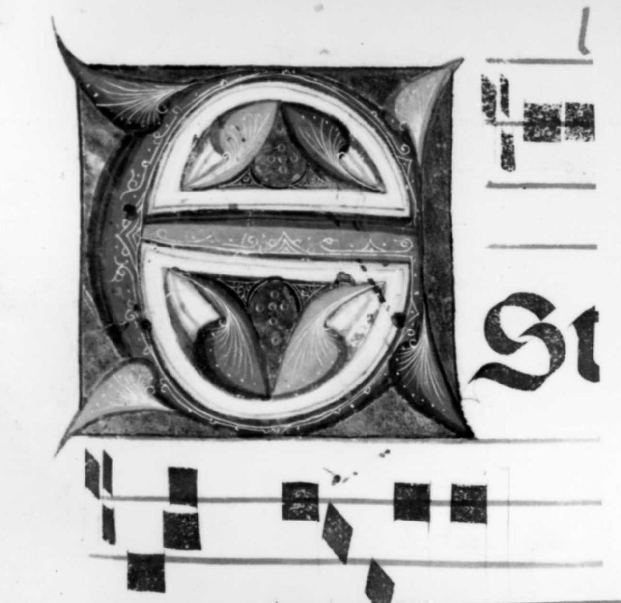 lettera E (miniatura) - ambito fiorentino-pratese (sec. XV)