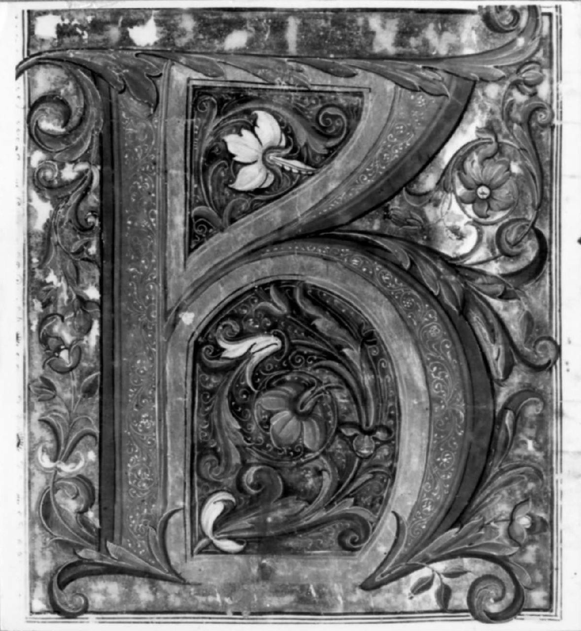 lettera K (miniatura) di Attavanti Attavante (fine/inizio secc. XV/ XVI, sec. XVI)