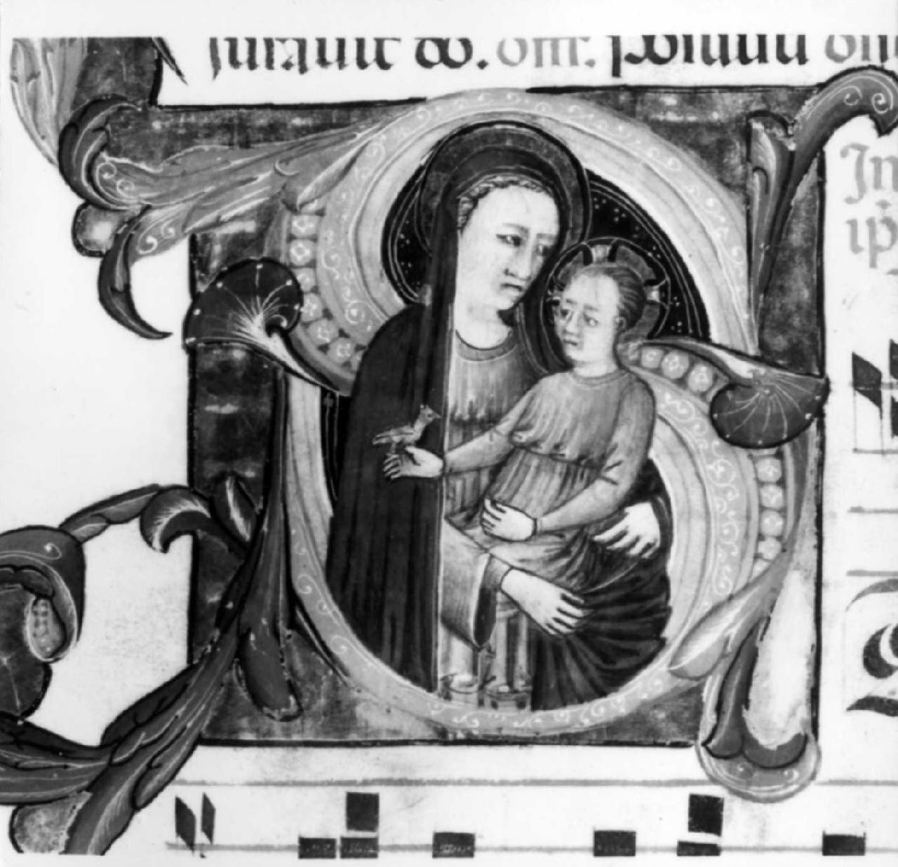 Madonna con Bambino (miniatura) di Bartolomeo di Fruosino (sec. XV)