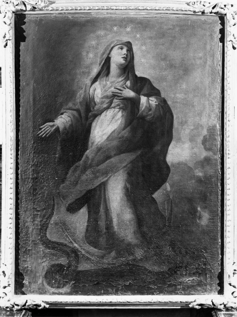 Immacolata Concezione (dipinto) di Pezzati Pietro (sec. XIX)