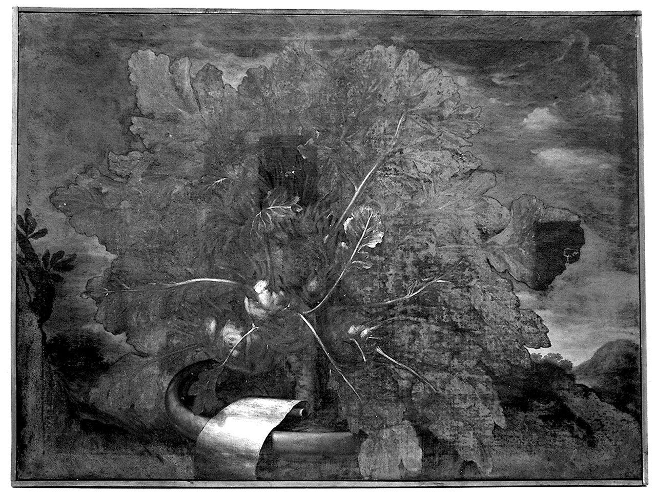 natura morta di verdura (dipinto) - ambito fiorentino (seconda metà sec. XVIII)