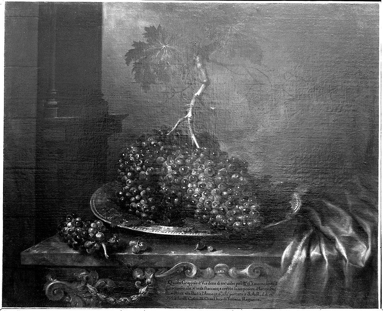 natura morta con frutta (dipinto) di Bimbi Bartolomeo (sec. XVIII)