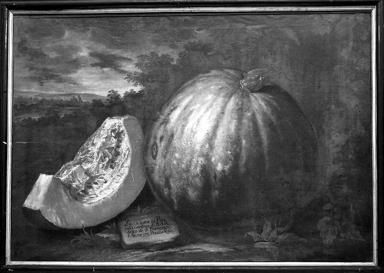 natura morta di verdura (dipinto) di Bimbi Bartolomeo (sec. XVIII)