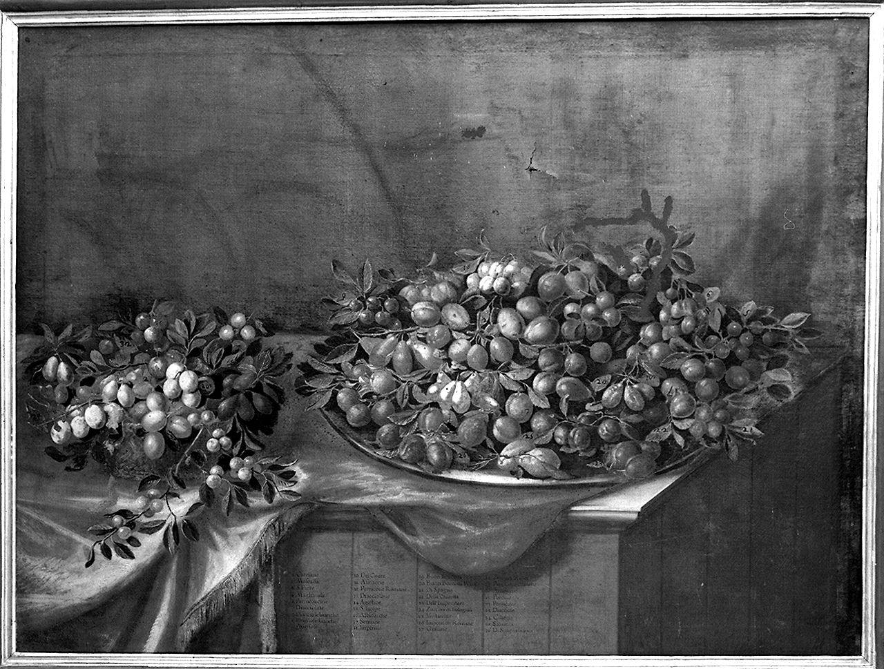 natura morta con frutta (dipinto) di Bimbi Bartolomeo (maniera) (terzo quarto sec. XVIII)