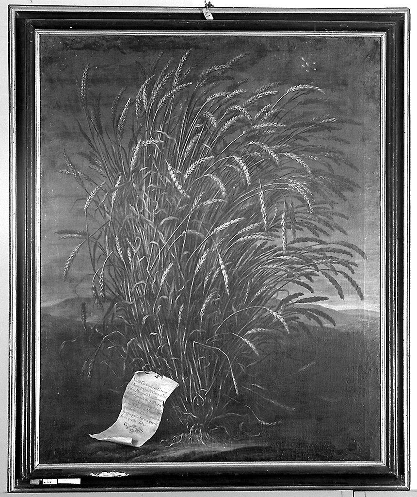 natura morta (dipinto) di Bimbi Bartolomeo (sec. XVIII)
