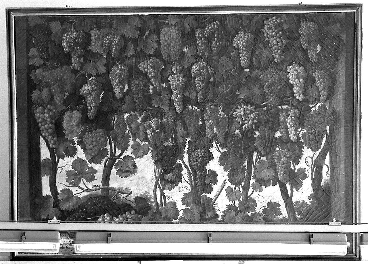 natura morta con frutta (dipinto, serie) - ambito fiorentino (seconda metà sec. XVIII)