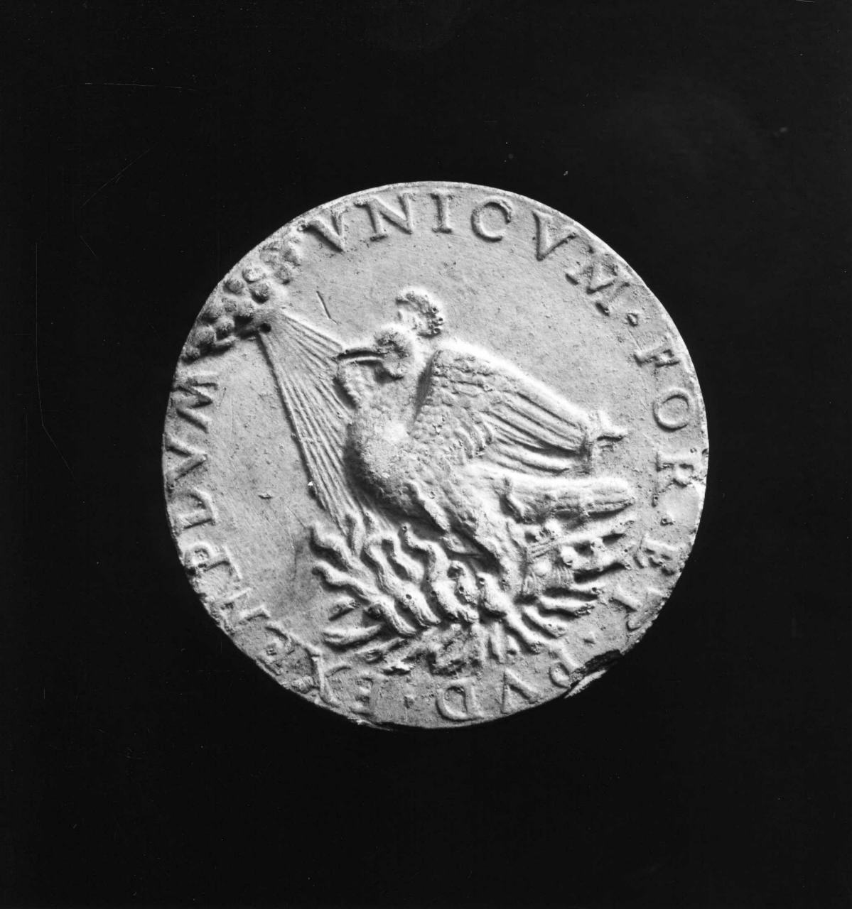 fenice (calco di medaglia) di Lelli Oronzio (ultimo quarto sec. XIX)