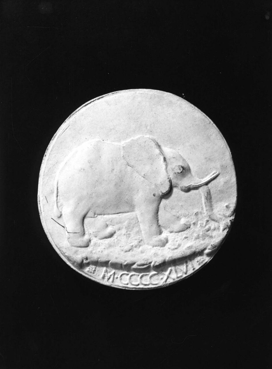 Malatesta, elefante (calco di medaglia) di Lelli Oronzio (bottega) (sec. XIX)