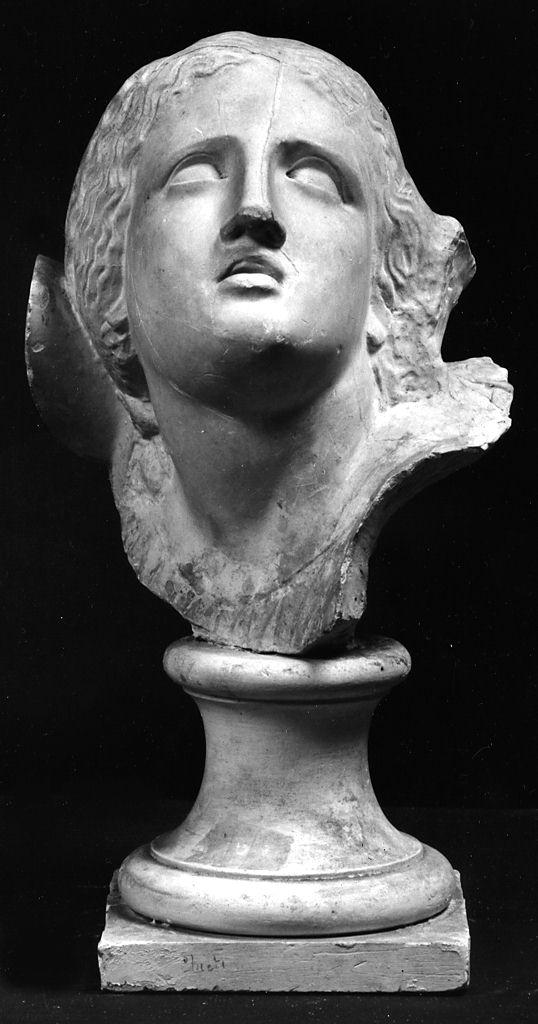 figlia di Niobe, testa di donna (calco di scultura) - produzione italiana (sec. XIX)