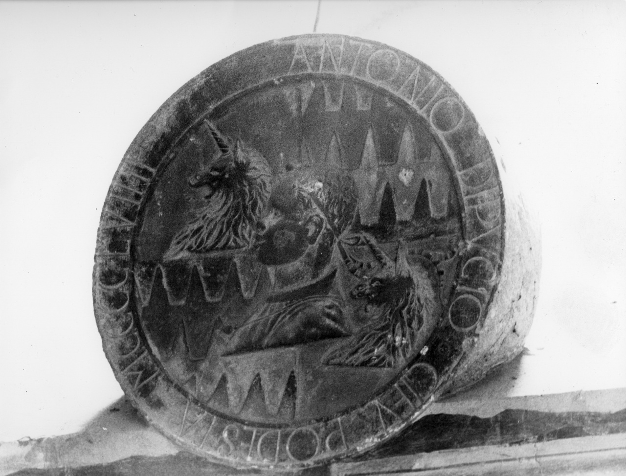 stemma gentilizio della famiglia Pucci (rilievo) - manifattura toscana (sec. XV)