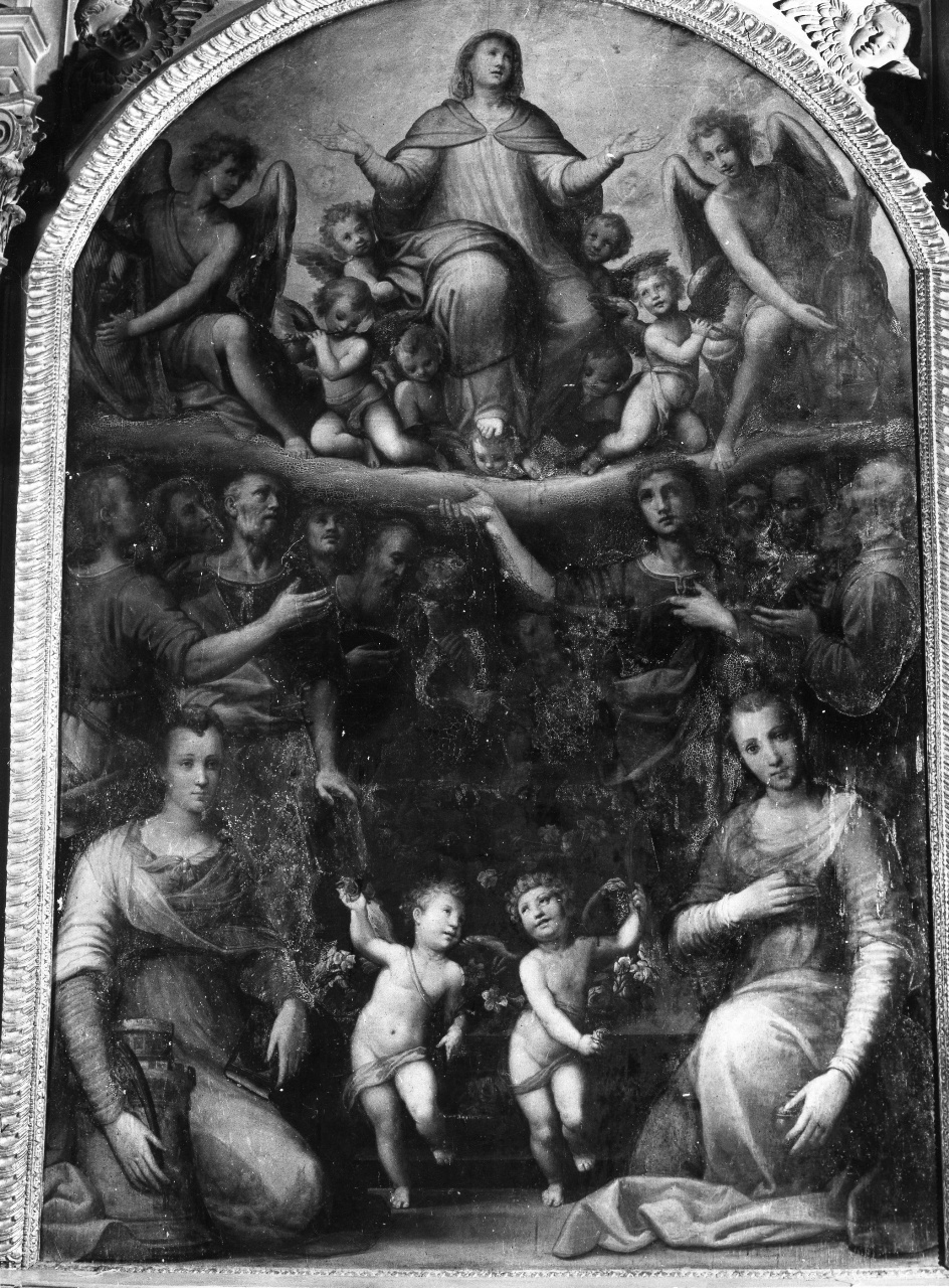 assunzione della Madonna (dipinto) di Fei Alessandro detto Alessandro del Barbiere (ultimo quarto sec. XVI)