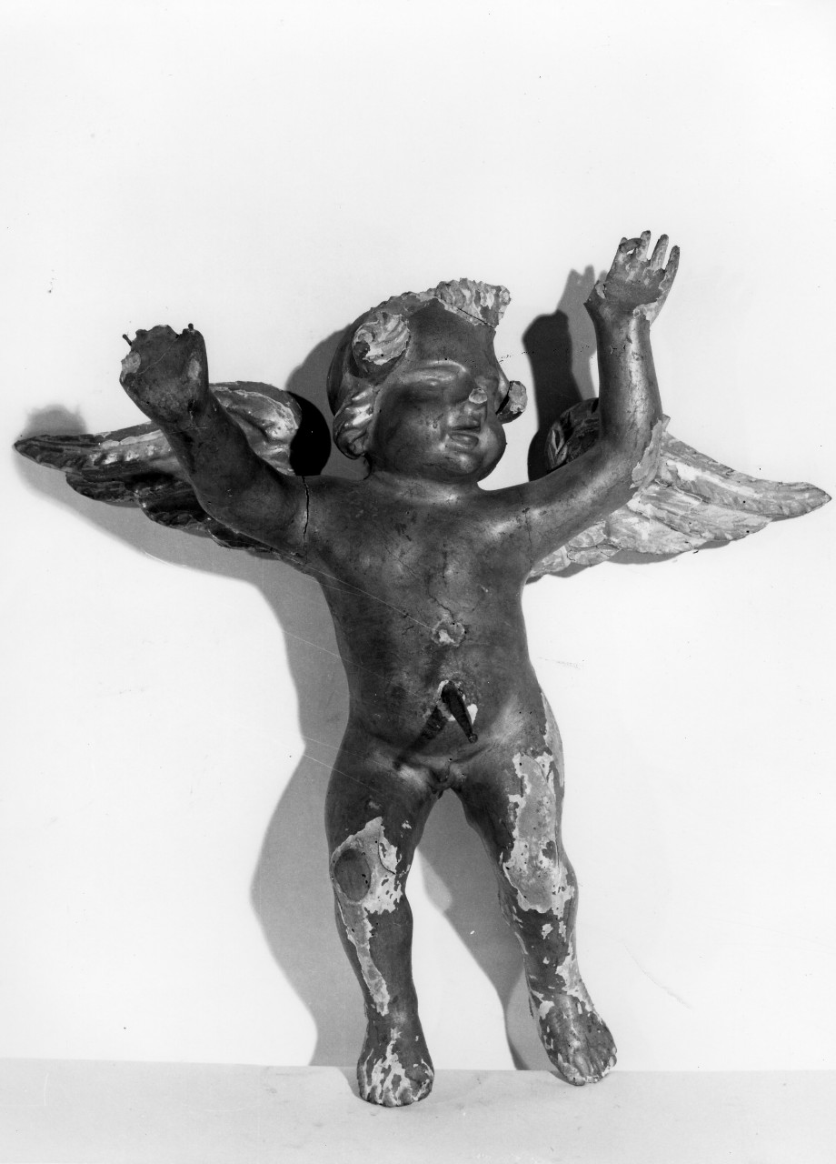 putto alato (scultura) - bottega toscana (seconda metà sec. XVIII)
