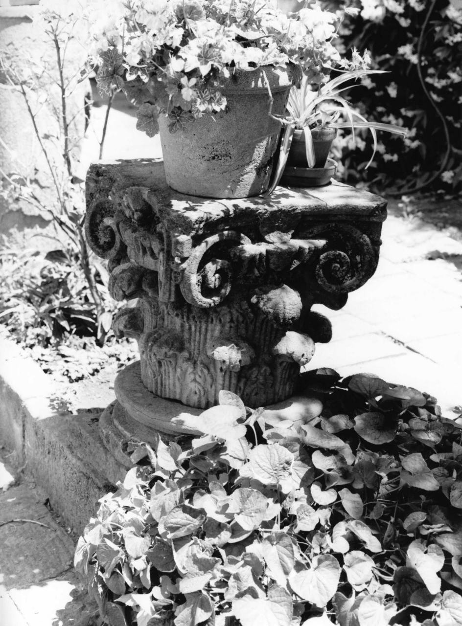 capitello, serie - bottega toscana (sec. XVI)